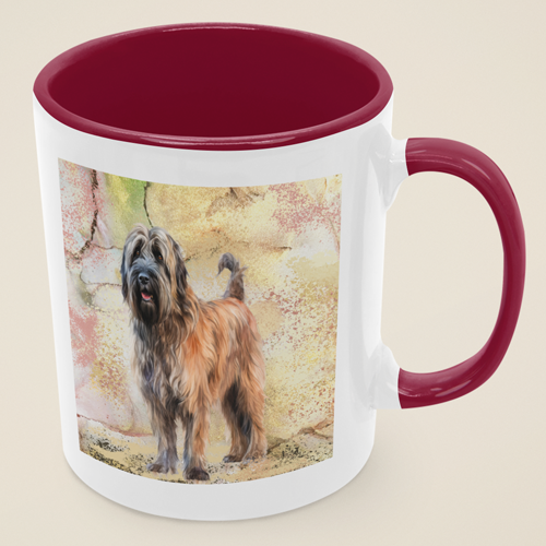 gifts for pet owners - Briard mug